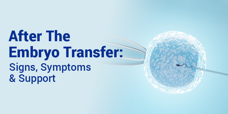 Embryo Transfer: Signs, Symptoms & Support